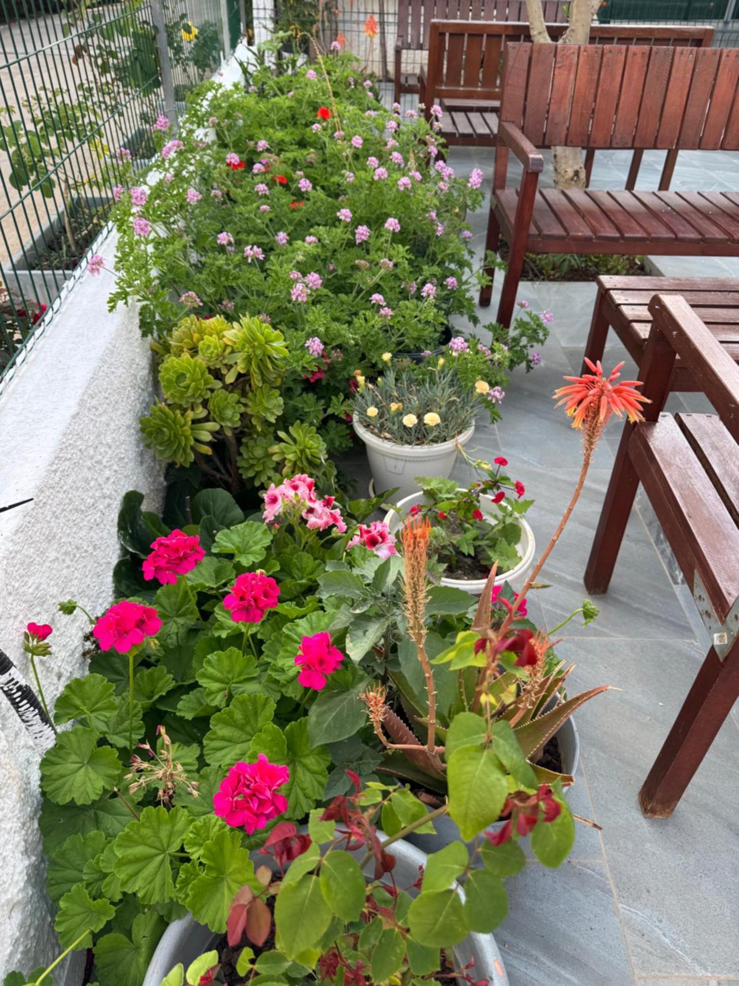 Central Garden Residence Sofia - Free Parking Ksamil Zewnętrze zdjęcie